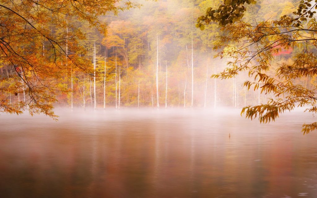 Autumn - lake
