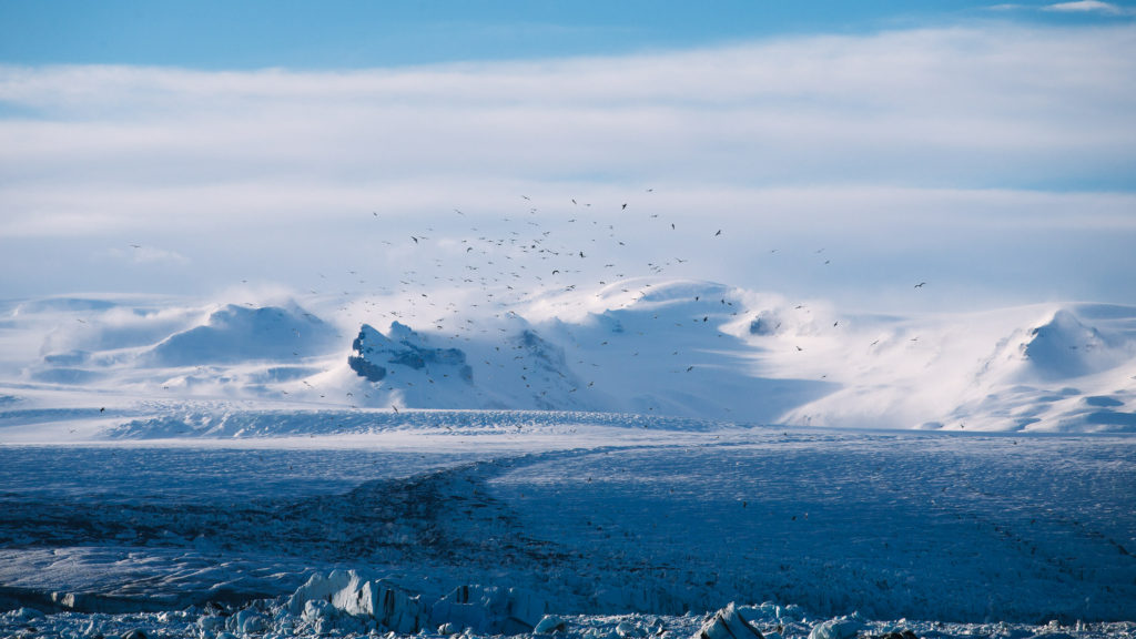 Birds over a glacier, by Anders Jildén.