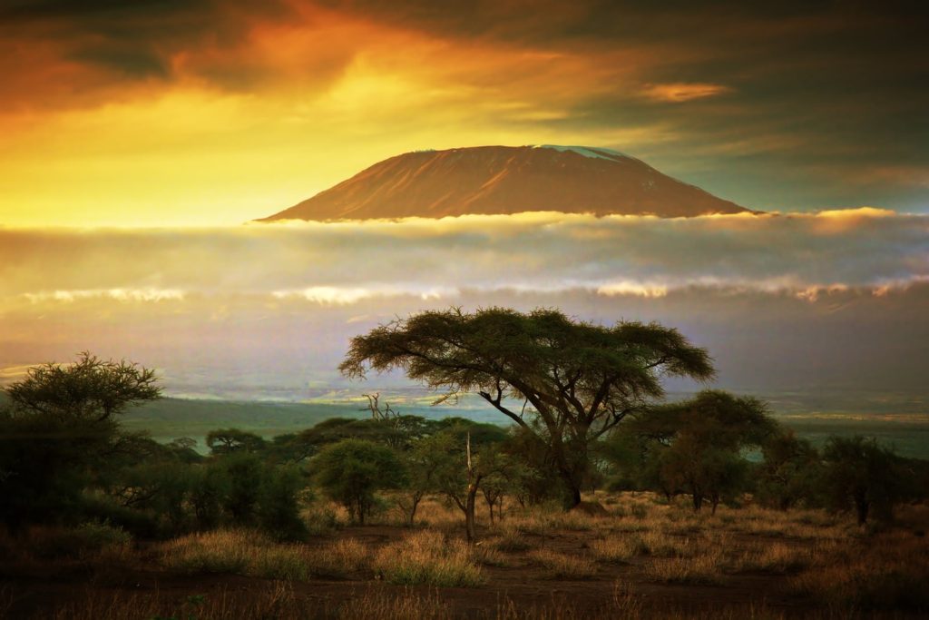 Sunset on the Mount Kilimanjaro, Tanzania