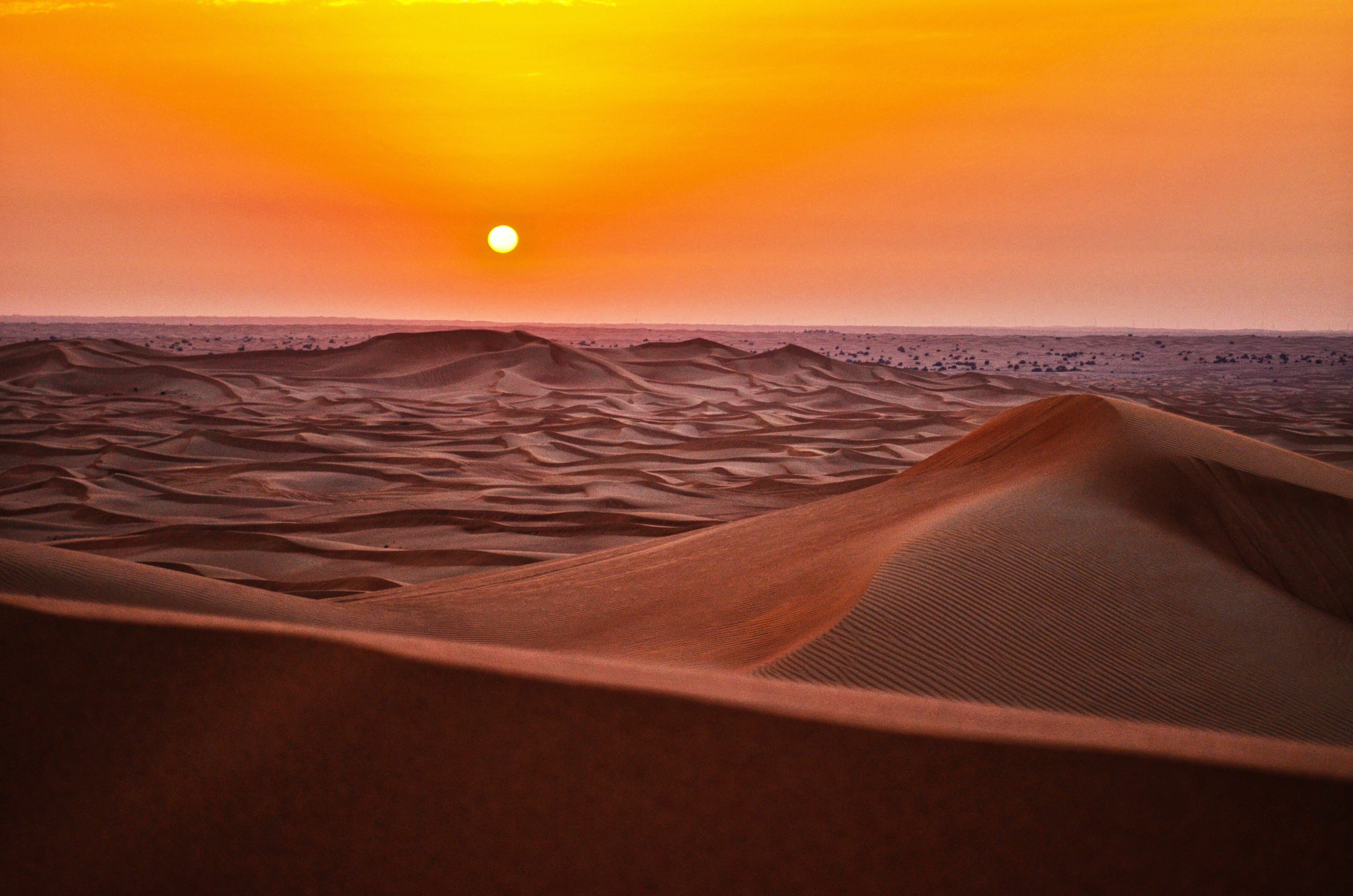 desert safari sunset