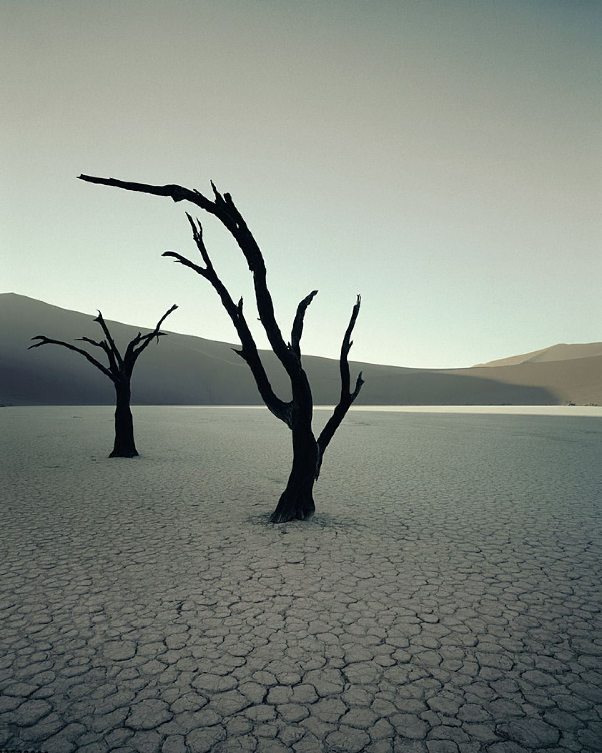 Dead Vlei dead trees, Sossusvlei, Namibia