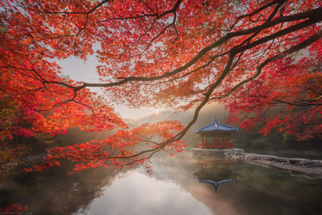 Autumn in Korea