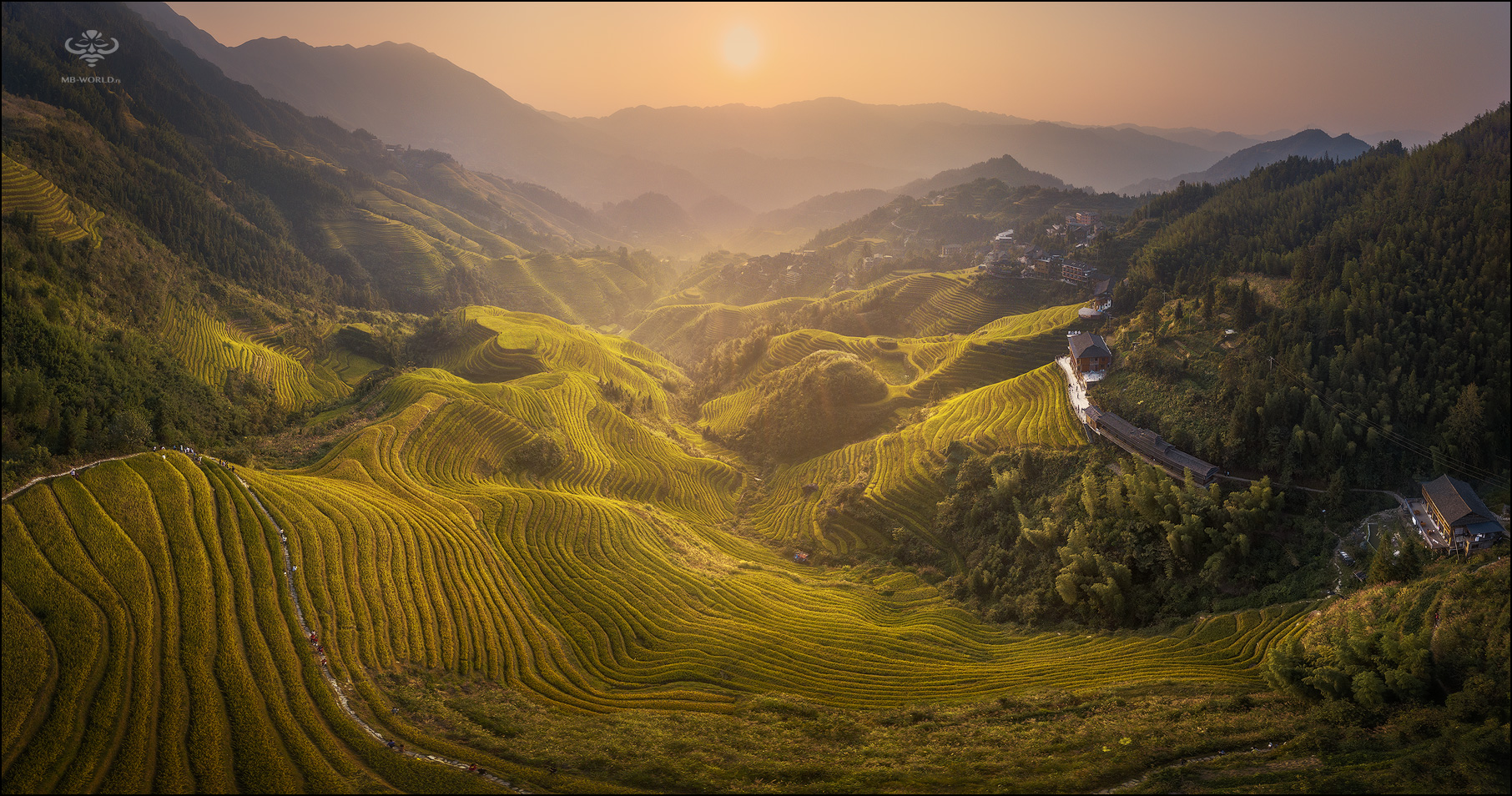 Rice terraces, China